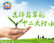 选择翡翠的十二大理由
