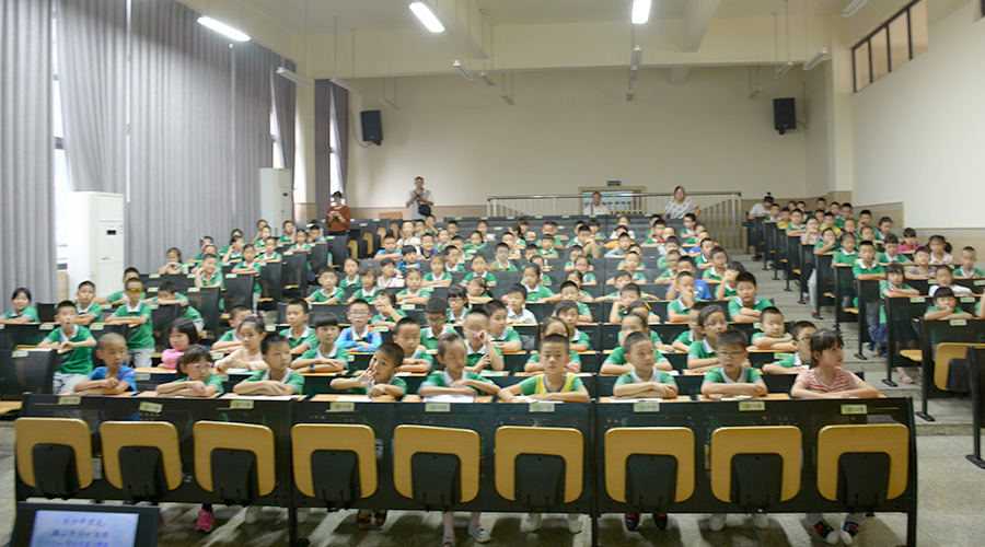 插上科学的翅膀飞翔
