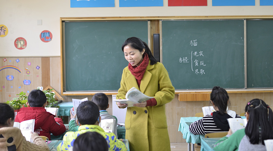 以读促悟，走进《猫》